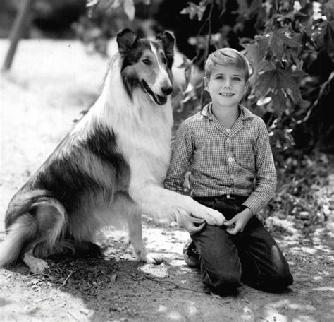 The spell of Lassie